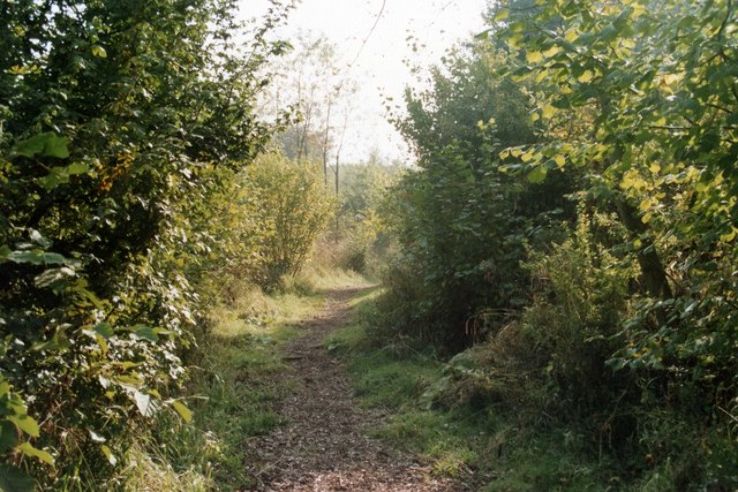 Howe Park Wood Trip Packages