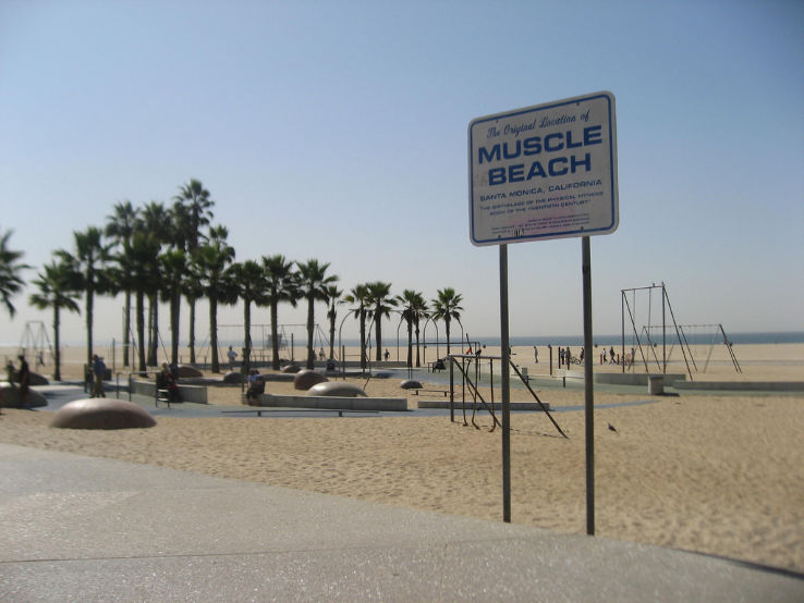 Muscle Beach  Trip Packages