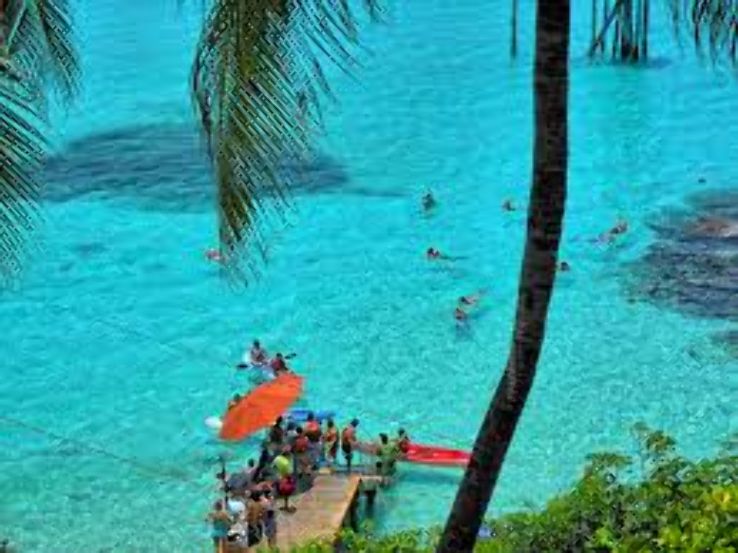 Garrafon Natural Reef Park Trip Packages