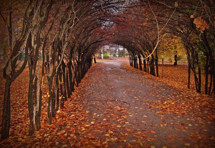 Tashkent Botanical Garden Trip Packages