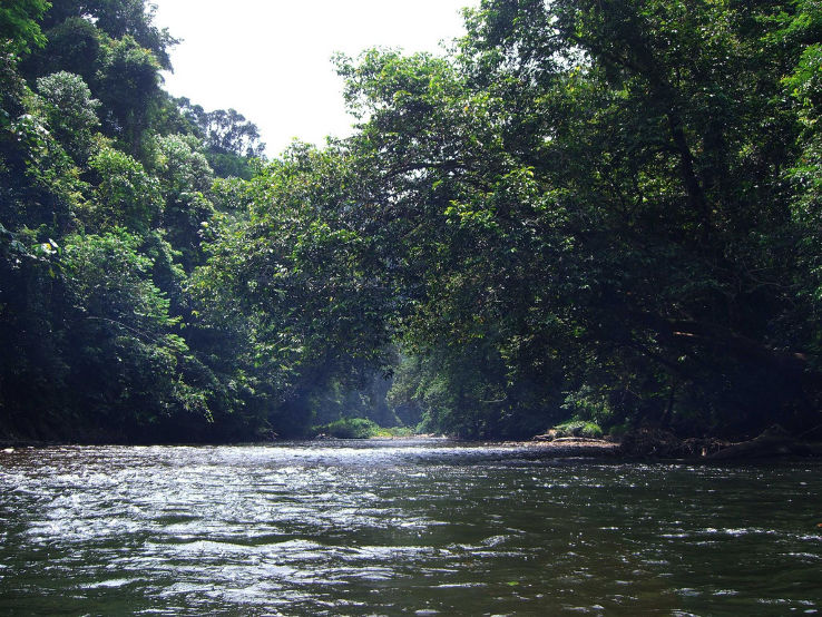 Temburong River Trip Packages