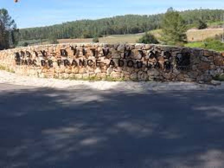 Eshtaol Forest Trip Packages