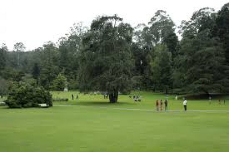 Ooty Golf Course Trip Packages