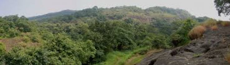 Sanjay Gandhi National Park Trip Packages