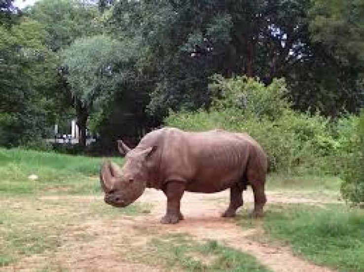 Sri Chamarajendra Zoological Gardens Trip Packages