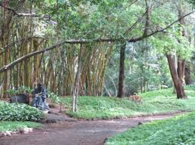 Osho Teerth Park Trip Packages