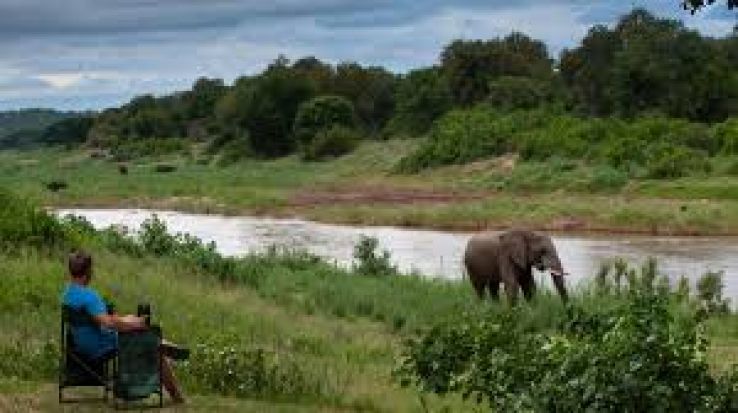 Balule Nature Reserve Trip Packages