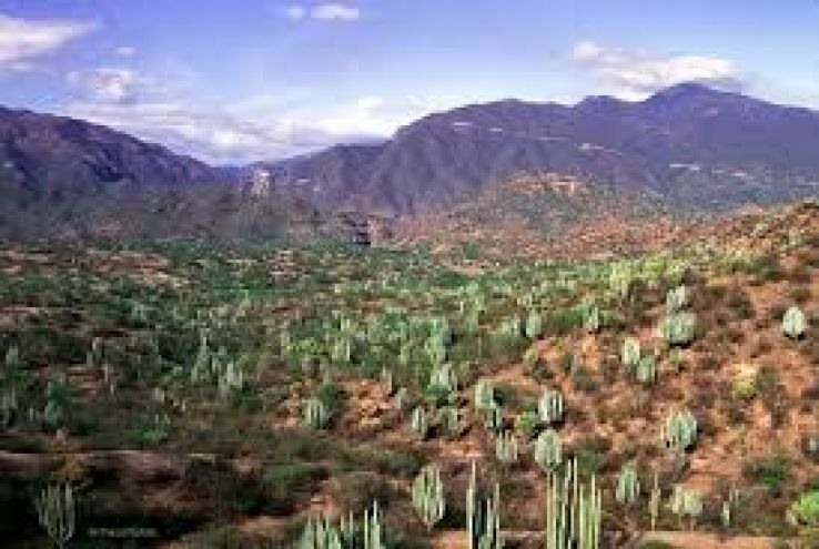 Benito Juarez National Park Trip Packages