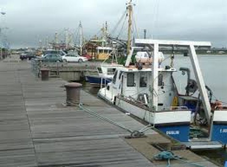 Wexford Harbour Trip Packages