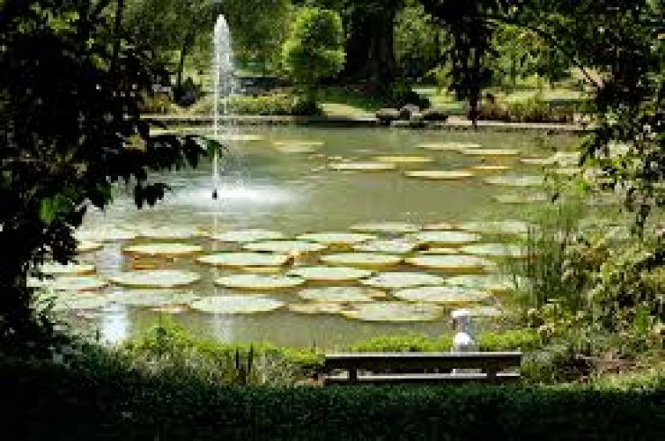 Bason Botanic Gardens Trip Packages