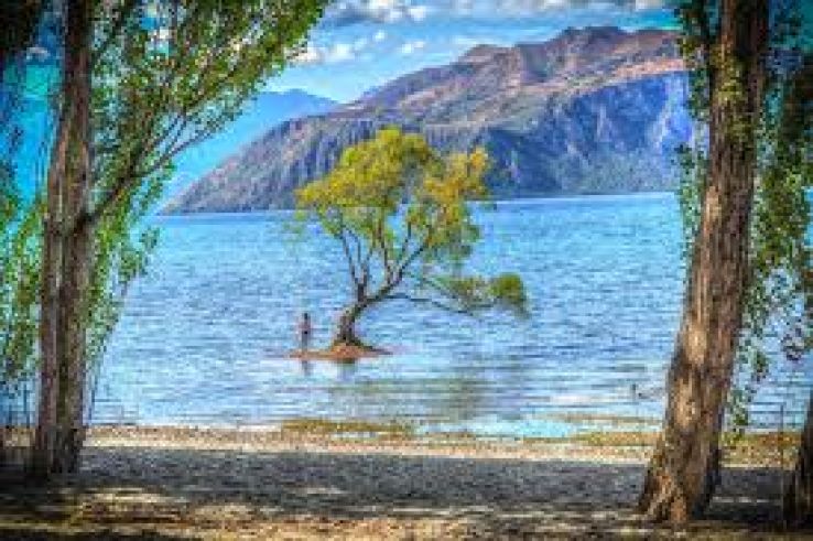 Wanaka Trip Packages