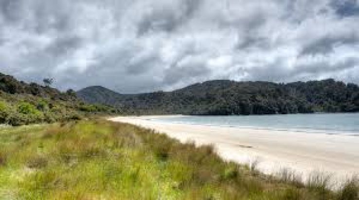 Rakiura Trip Packages
