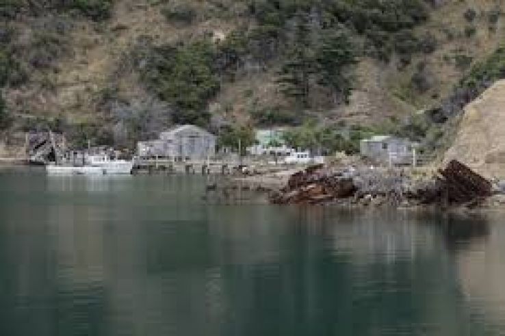 Ship Cove Trip Packages