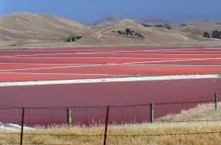 Lake Grassmere Trip Packages