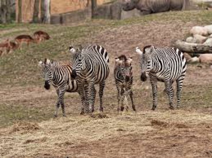 Wildlands Trip Packages