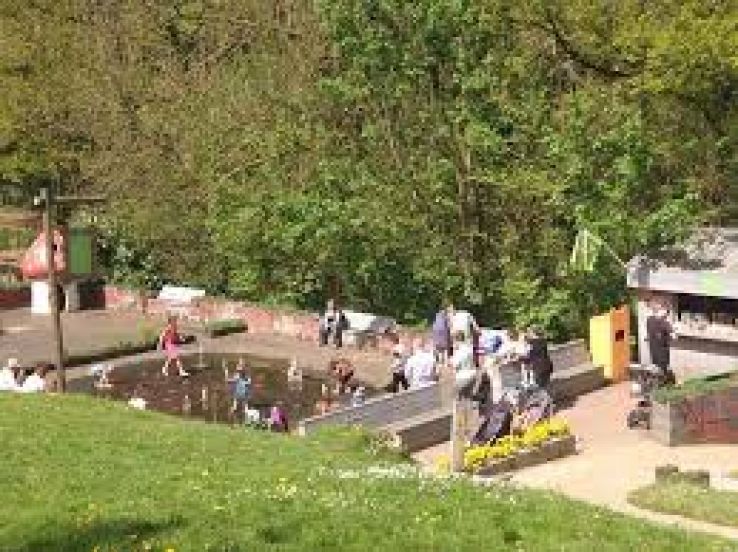 Fairytale Forest Trip Packages