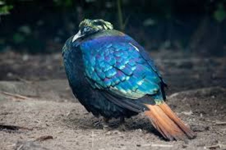 DierenPark Amersfoort Trip Packages