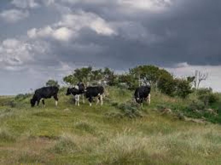 Schiermonnikoog National Park Trip Packages