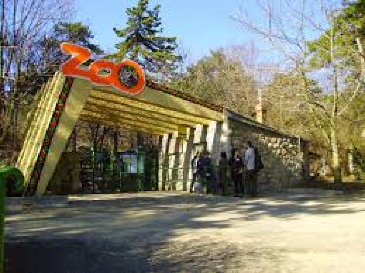 Zoo Trip Packages