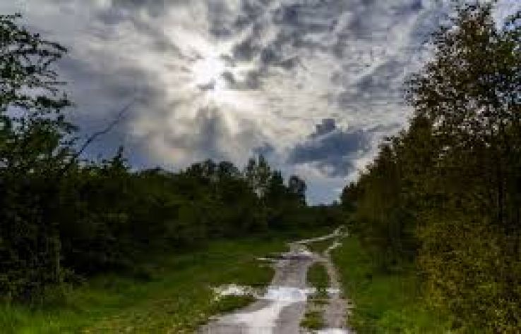 Kalvebod Fælled Trip Packages