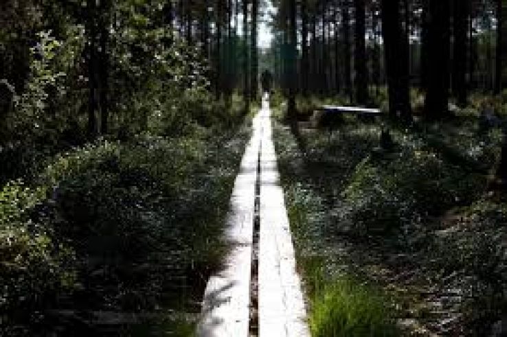 Kronoskogens naturreservat Trip Packages