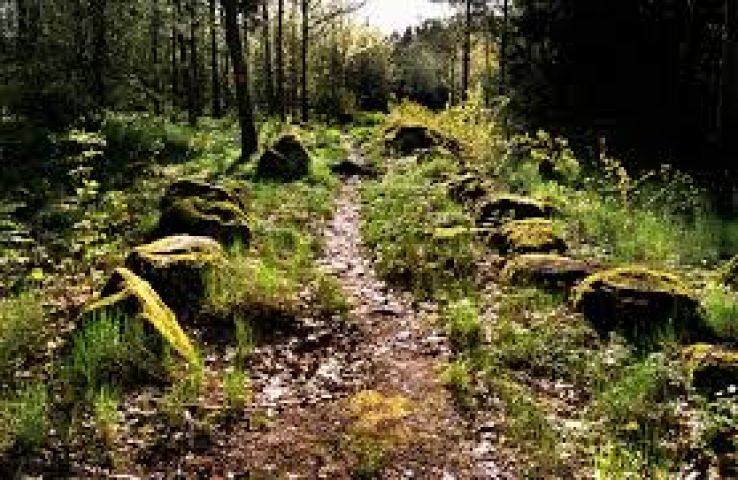 Valla Wood Trip Packages