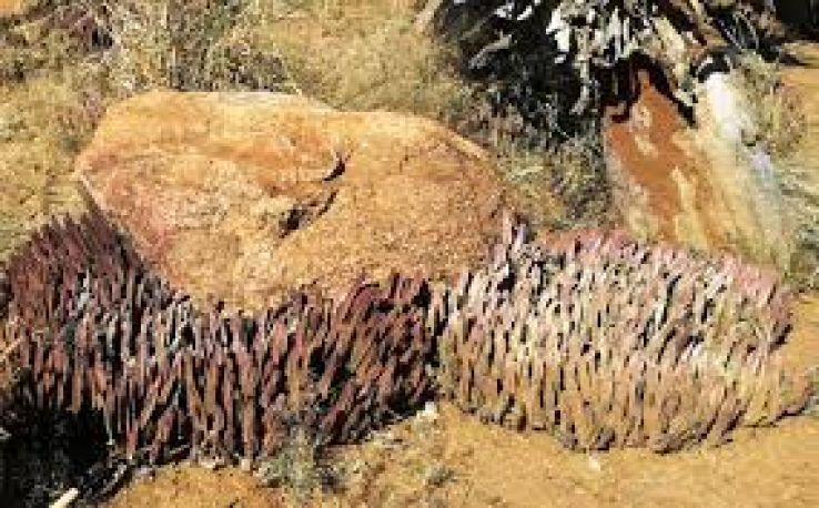 National Botanical Garden Trip Packages