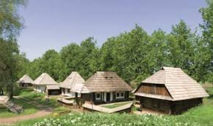 Bukovina Museum Trip Packages