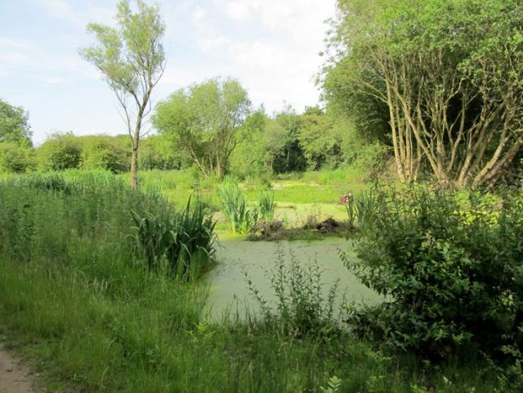 Walk Great Central  Trip Packages