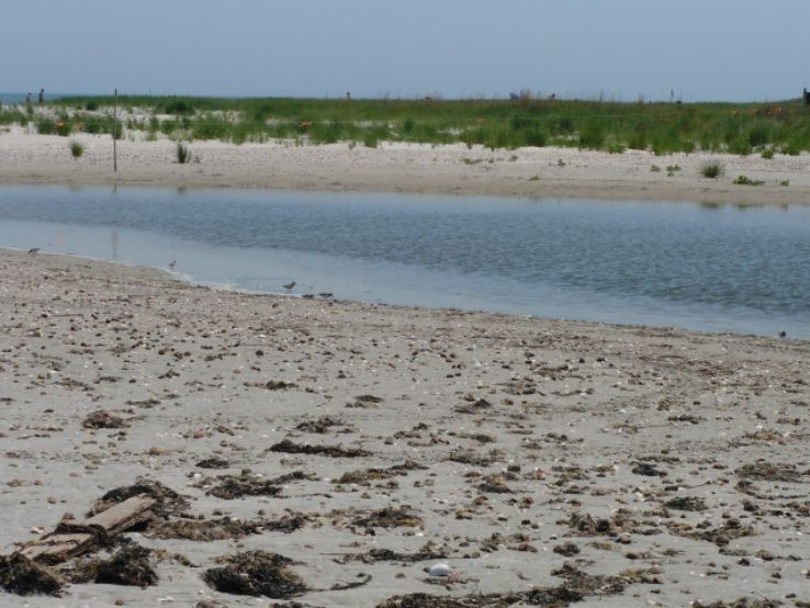 Demarest Lloyd State Park Trip Packages