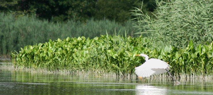 Cedar Creek Trip Packages