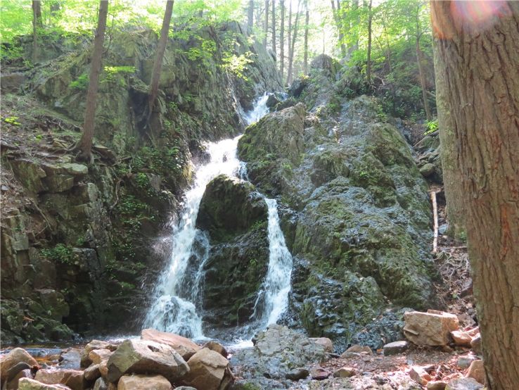 Fitzgerald Falls Trip Packages