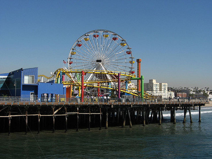 Santa Monica Pier Aquarium Trip Packages