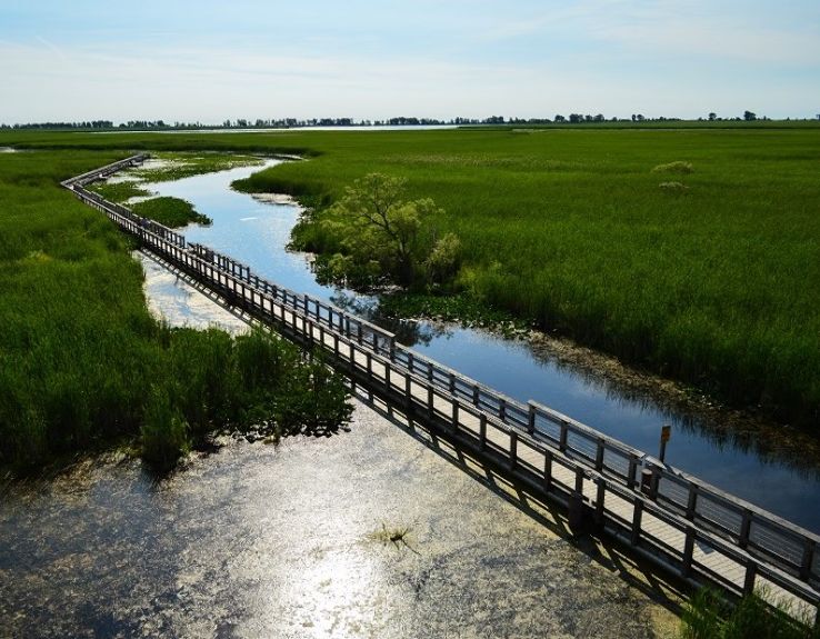 Point Pelee National Park Trip Packages