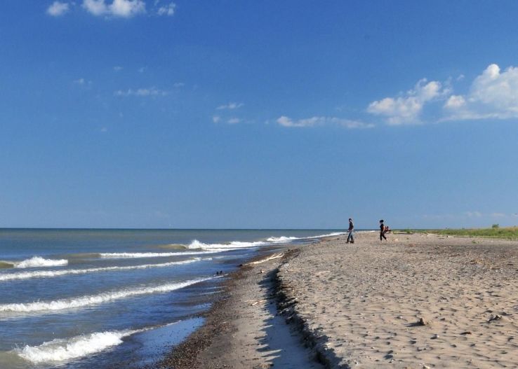 Rondeau Provincial Park Trip Packages