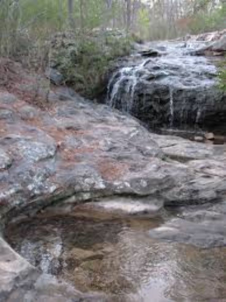 Relax At Moss Rock Preserve Trip Packages