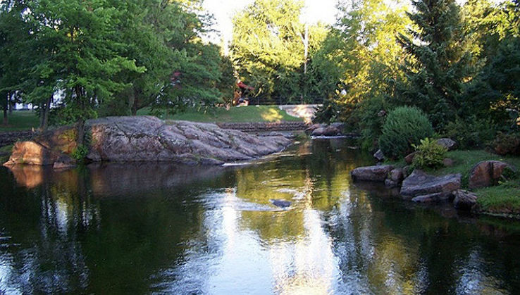 Stewart Park Trip Packages