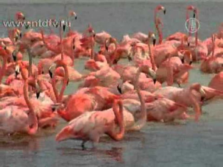 Shirvan National Park Trip Packages