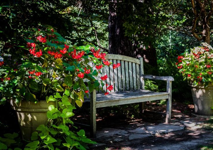 Take A Trip To Aldridge Gardens Trip Packages