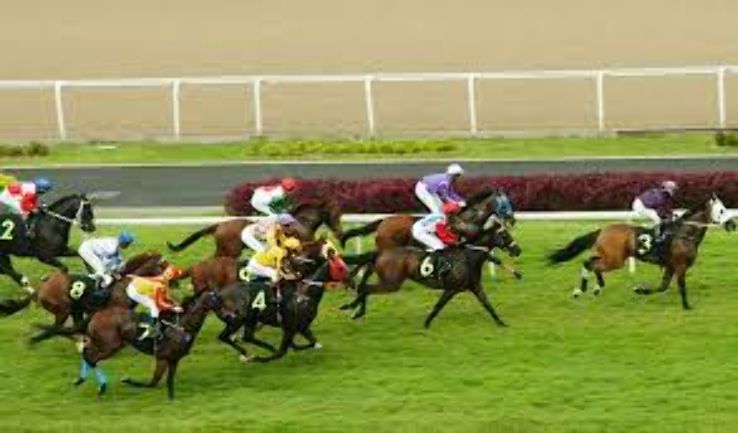 The Derby at Bangalore Turf Club Trip Packages