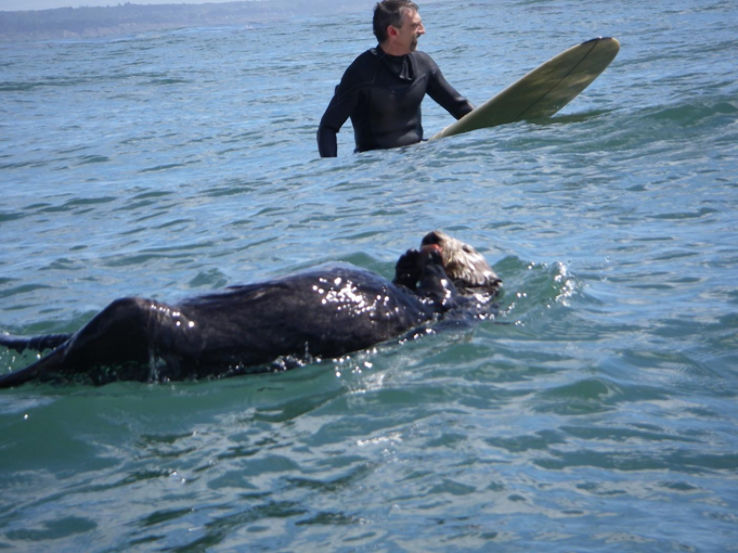 Catch a wave at Pleasure Point Trip Packages