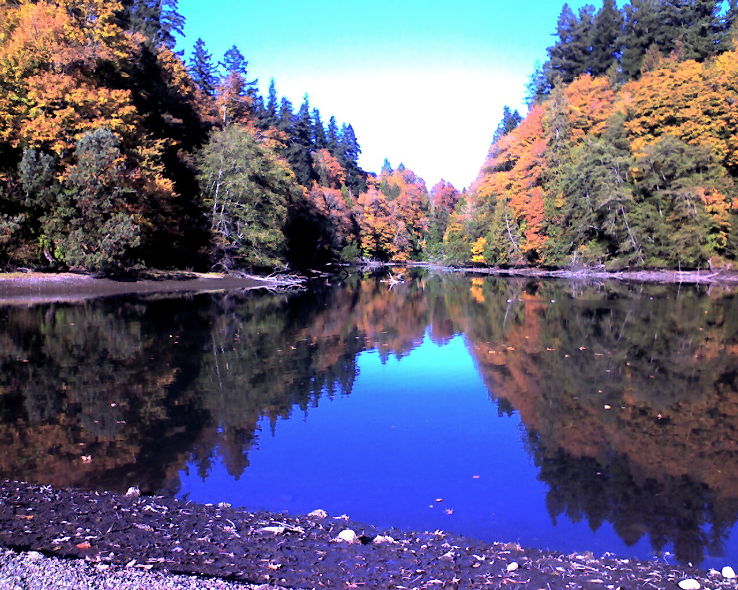 Priest Point Park Trip Packages