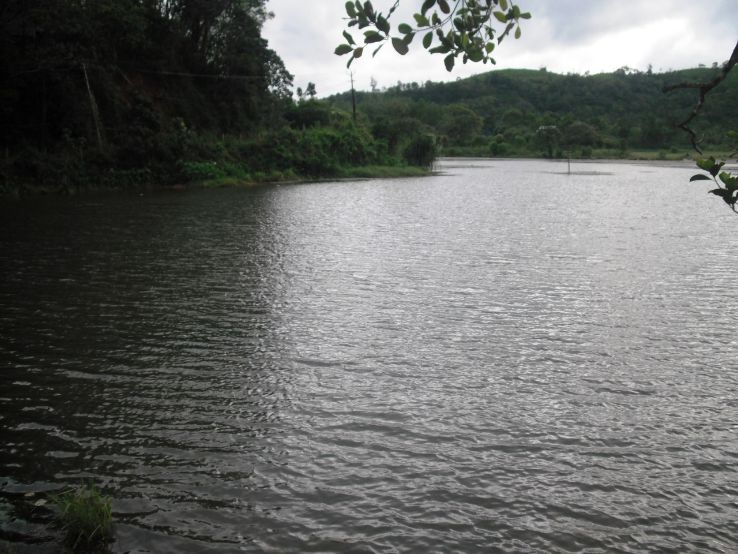 Kulamavu Dam Trip Packages