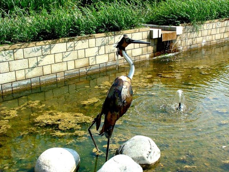 Durham University Botanic Garden Trip Packages