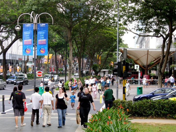 Orchard Road Trip Packages