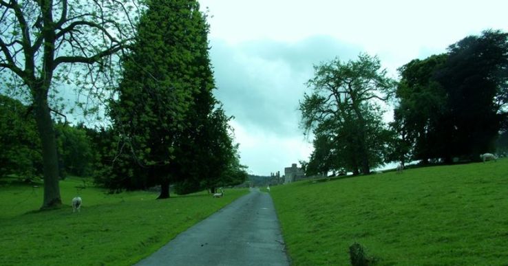 Knighton Park Trip Packages