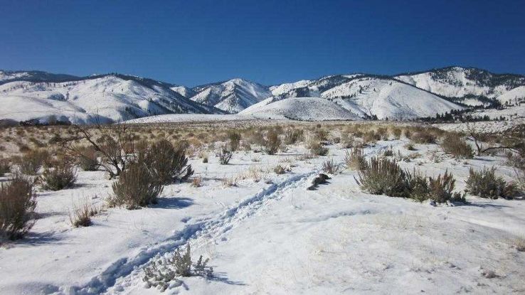 Jack Rabbit Trail Trip Packages