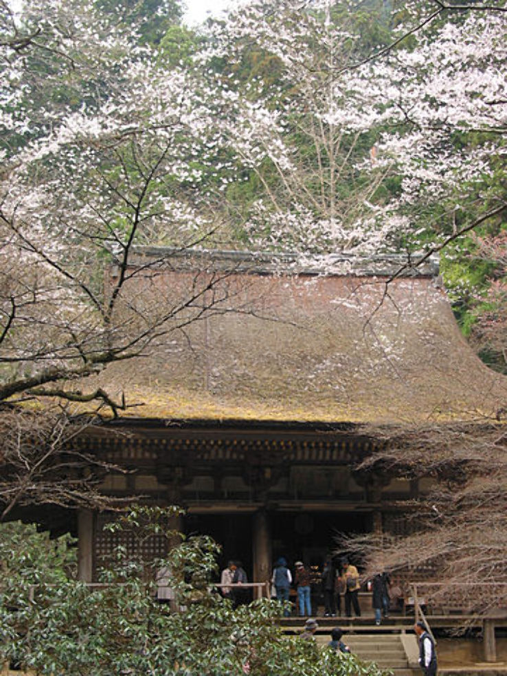 Muroji Temple  Trip Packages
