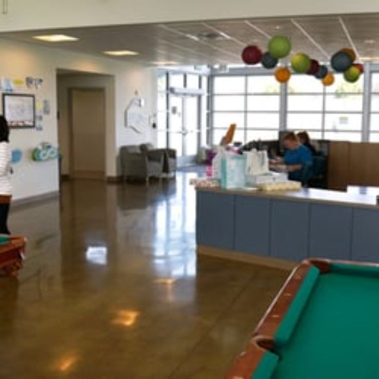 The Vibe Trip Packages