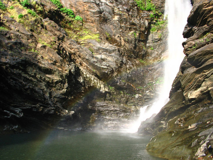 Arishina Gundi Falls Trip Packages